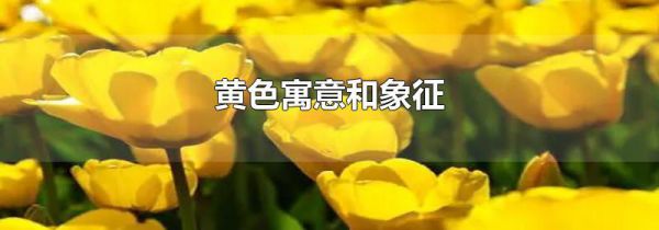 黄色寓意和象征