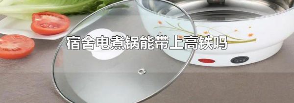 宿舍电煮锅能带上高铁吗