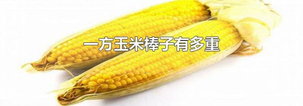 一方玉米棒子有多重