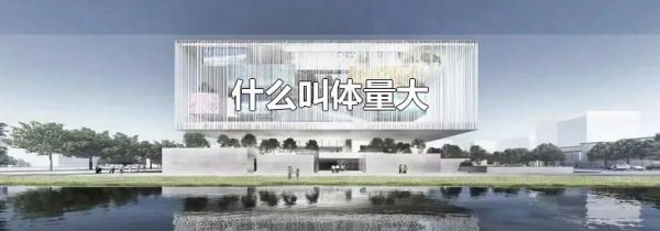 什么叫体量大
