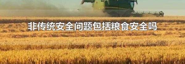 非传统安全问题包括粮食安全吗