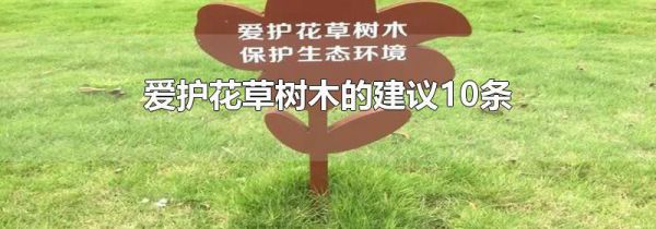 爱护花草树木的建议10条