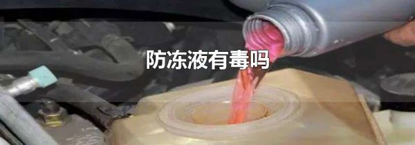 防冻液有毒吗