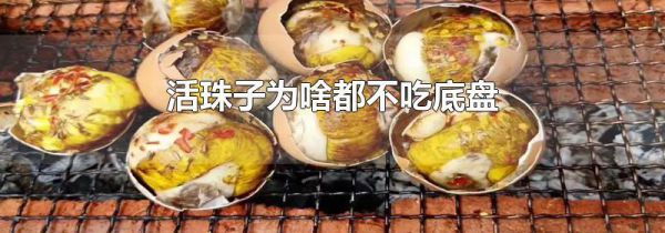 活珠子为啥都不吃底盘