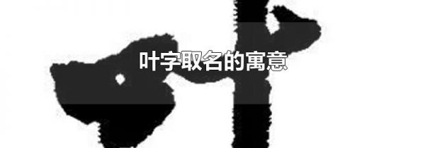 叶字取名的寓意
