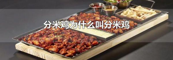 分米鸡为什么叫分米鸡