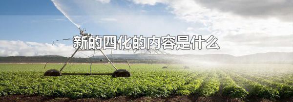 新的四化的内容是什么