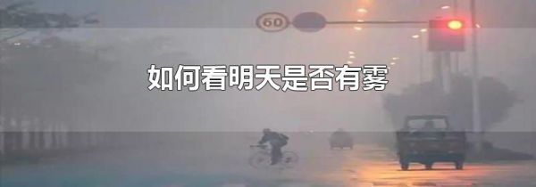 如何看明天是否有雾
