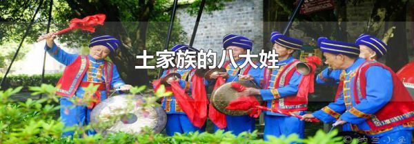 土家族的八大姓