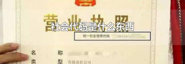 社会代码是什么东西