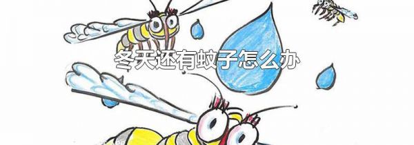冬天还有蚊子怎么办