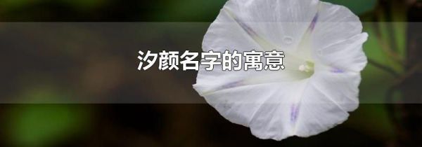 汐颜名字的寓意