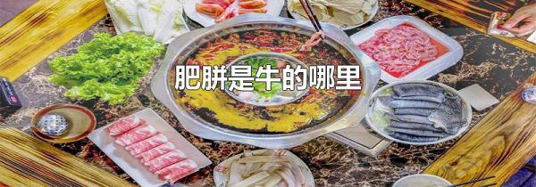 肥胼是牛的哪里