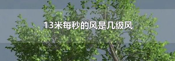13米每秒的风是几级风