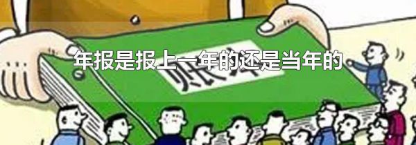 年报是报上一年的还是当年的