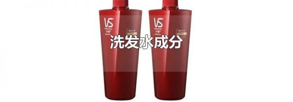 洗发水成分
