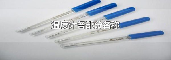 温度计各部分名称
