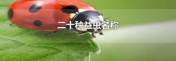 二十种益虫名称