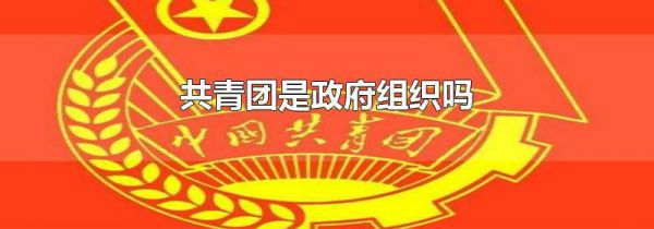 共青团是政府组织吗