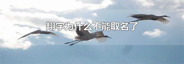 翔字为什么不能取名了