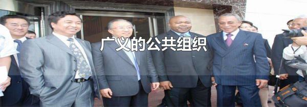 广义的公共组织