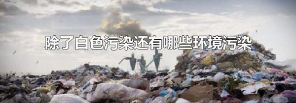 除了白色污染还有哪些环境污染