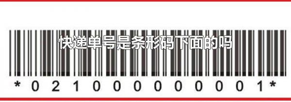 快递单号是条形码下面的吗