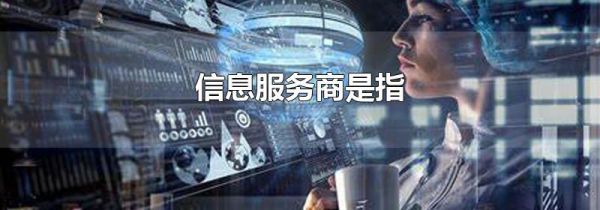 信息服务商是指