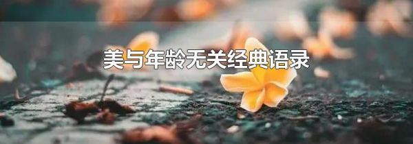 美与年龄无关经典语录