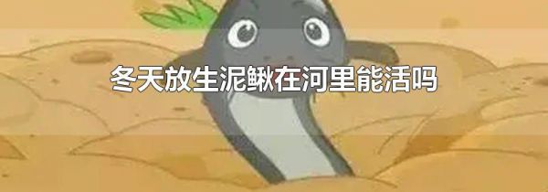 冬天放生泥鳅在河里能活吗