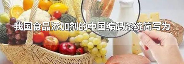 我国食品添加剂的中国编码系统简写为