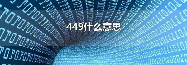 449什么意思