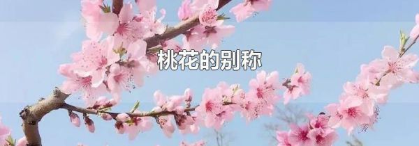 桃花的别称