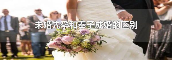 未婚先孕和奉子成婚的区别