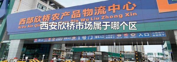西安欣桥市场属于哪个区