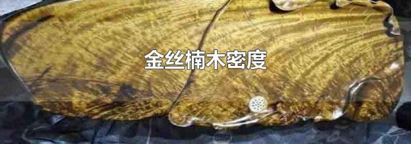 金丝楠木密度