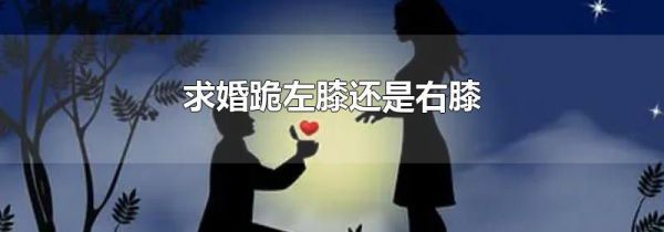 求婚跪左膝还是右膝