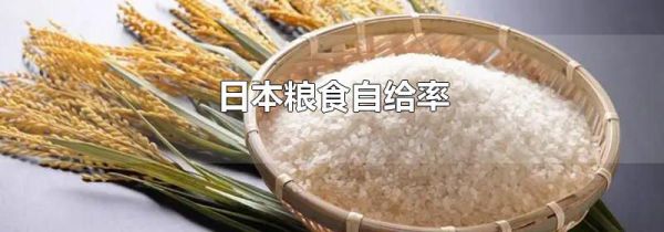 日本粮食自给率