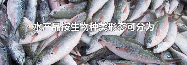 水产品按生物种类形态可分为