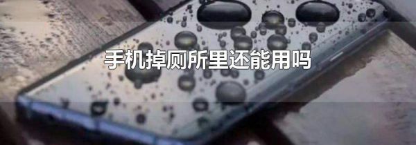 手机掉厕所里还能用吗