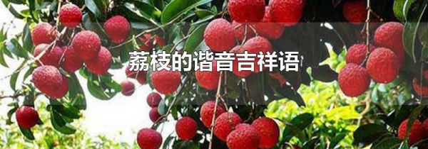 荔枝的谐音吉祥语