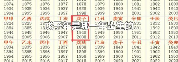 戊子年是哪一年出生的