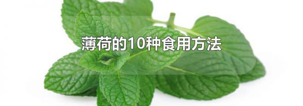 薄荷的10种食用方法