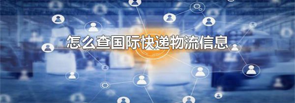 怎么查国际快递物流信息