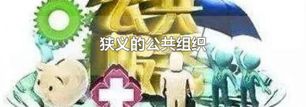 狭义的公共组织