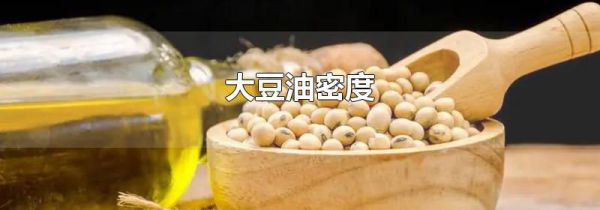大豆油密度