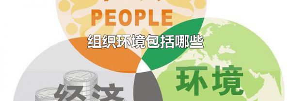 组织环境包括哪些