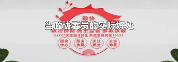 当政协委员的实际好处