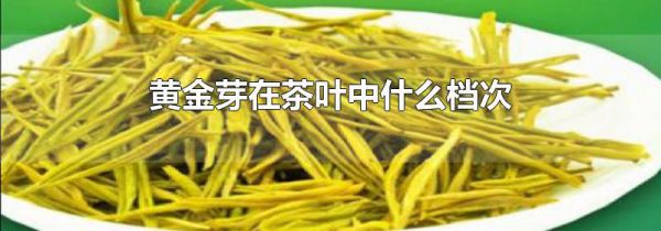 黄金芽在茶叶中什么档次