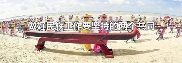 做好民族工作要坚持的两个共同